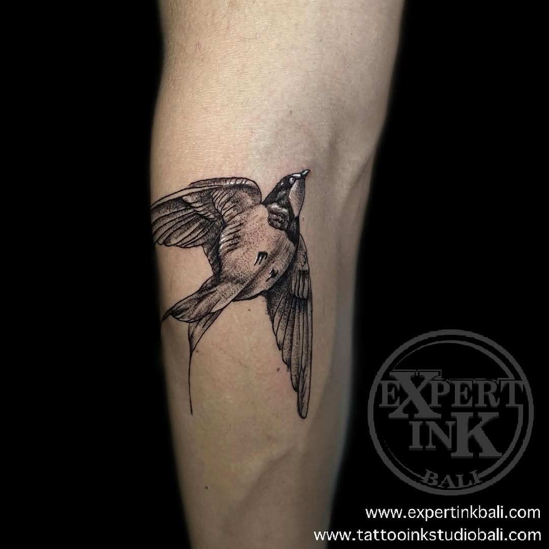 Black and gray bird tattoo on forearm by Expert Ink Bali, featuring detailed linework.