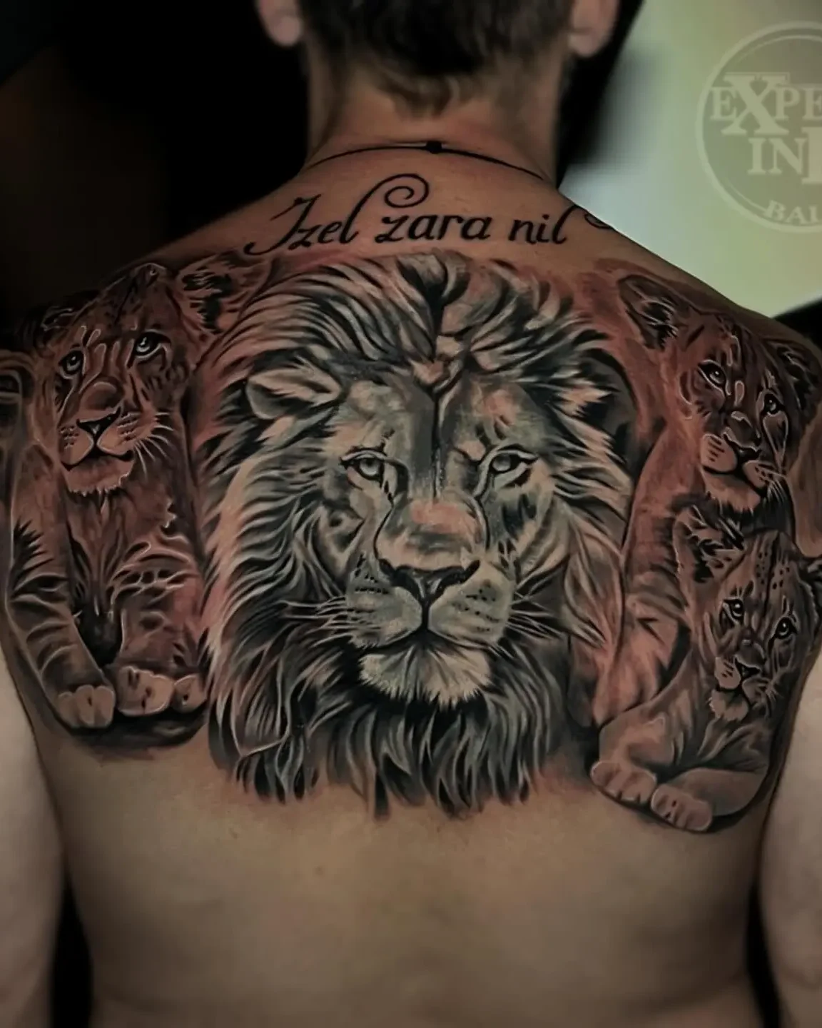Bold back tattoo Kuta designs blending lion and floral realism elements